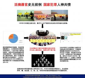 （图片） 活摘器官 史无前例 国家犯罪 人神共愤