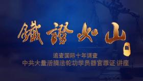 铁证如山 （视频）
