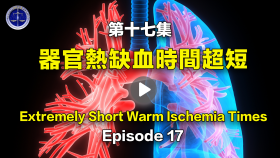 第十七集 器官热缺血时间超短
