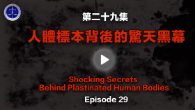 第29集 人体标本背后的惊天黑幕