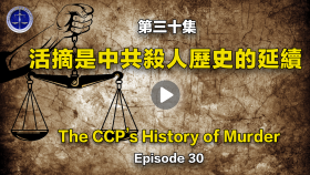 第30集 活摘是中共杀人历史的延续