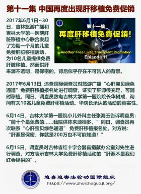  铁证如山 第11集1