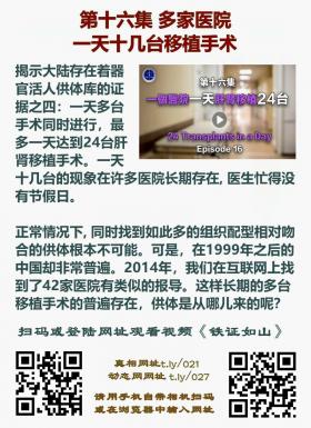 铁证如山 第16集2