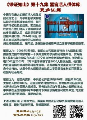 铁证如山 第19集2