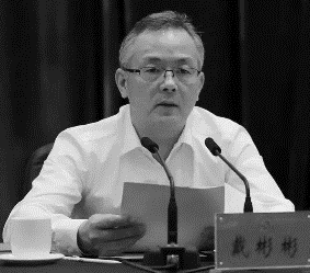 陕西省公安厅厅长戴彬彬