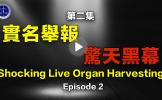 铁证如山 -系列讲座 第二集 铁证如山 -系列讲座 第二集