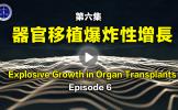铁证如山系列讲座 第六集 铁证如山系列讲座 第六集