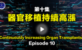 第10集縮略圖 第10集縮略圖