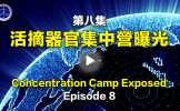 第8集 活摘器官集中營曝光 第8集 活摘器官集中營曝光