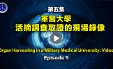 铁证如山系列讲座 第五集 铁证如山系列讲座 第五集