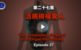 第二十七集 实际移植规模 第二十七集 实际移植规模