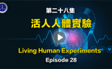 第二十八集 法轮功学员被群体灭绝的其它方式-活人人体实验 第二十八集 法轮功学员被群体灭绝的其它方式-活人人体实验